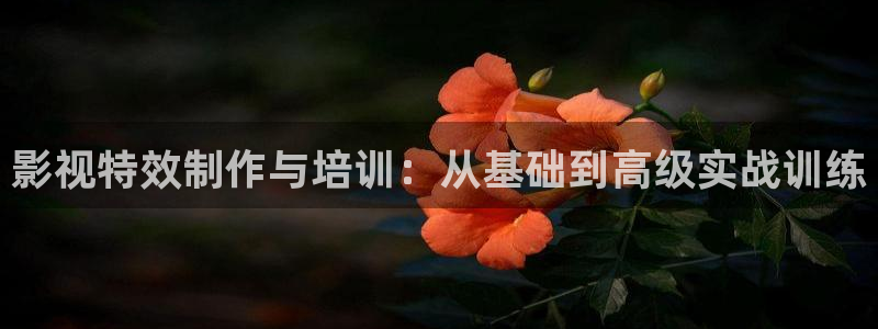 奇米在线精品视频：影视特效制作与培训：从基础到高级实战训练