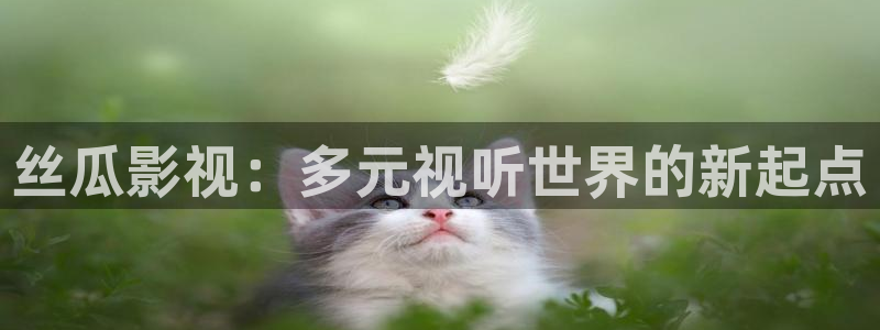 奇米在线精品观看：丝瓜影视：多元视听世界的新起点